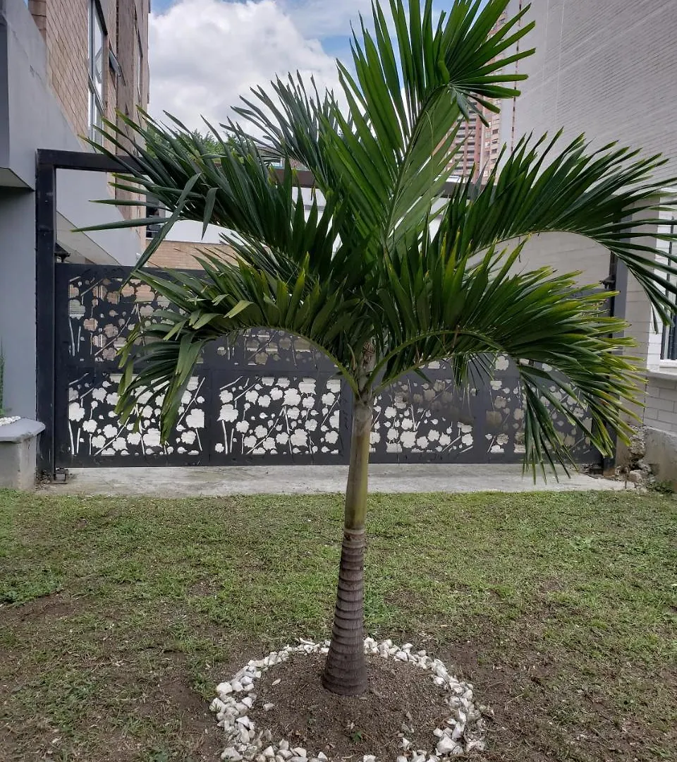 Ferienwohnung Vegas De La Aguacatala Medellín